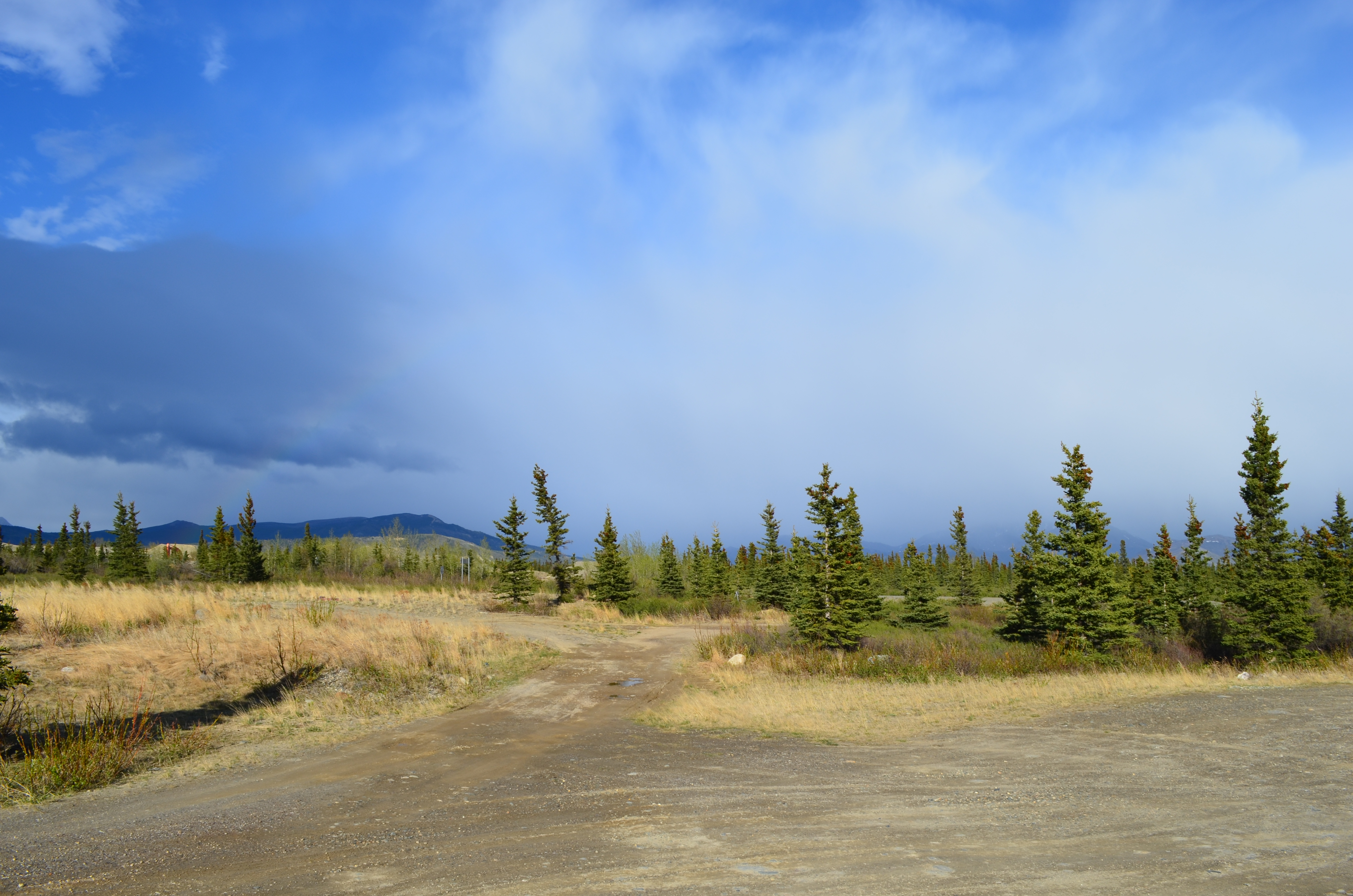./2017/08 - Alaska Cruise/03 - Denali/DSC_0159.JPG